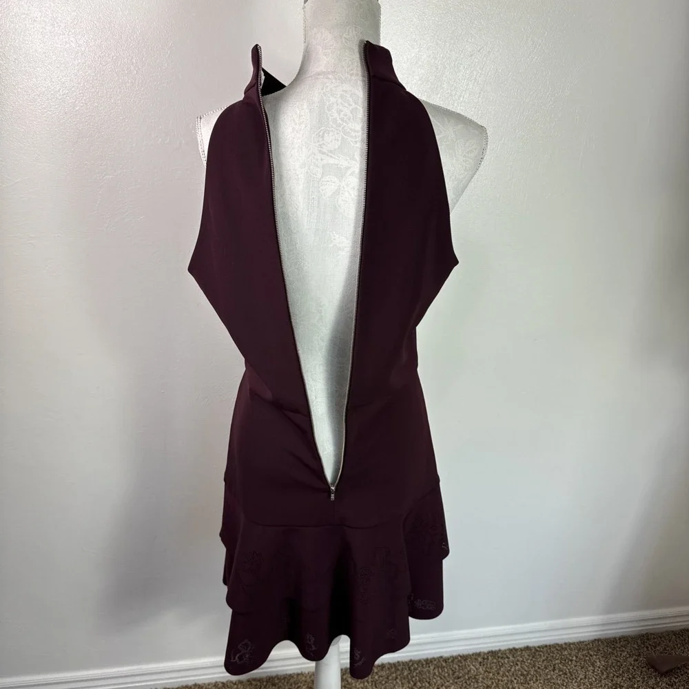 Parker Luana Women's 10 Mini Dress Sleeveless Laser Cut Design Tiered Burgundy E
